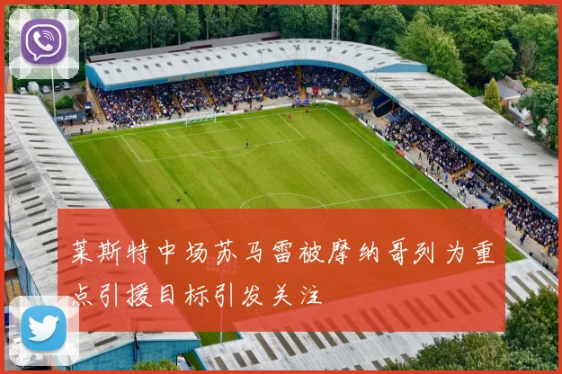 莱斯特中场苏马雷被摩纳哥列为重点引援目标引发关注